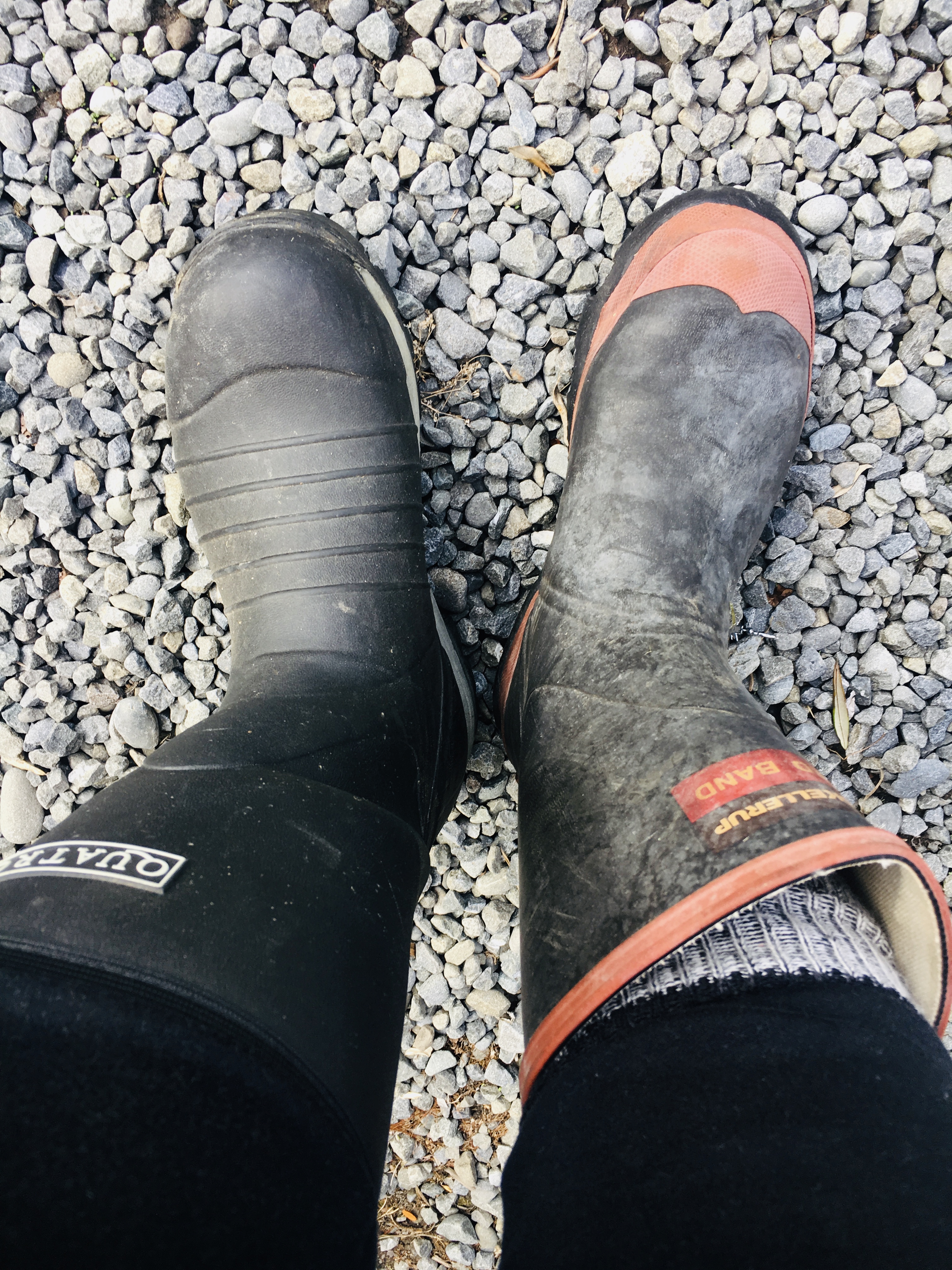 Odd Shoes! Who Me? - Jax Hamilton Cooks
